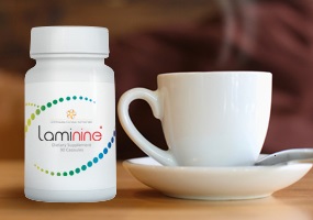 ламинин-laminine-при-климаксе