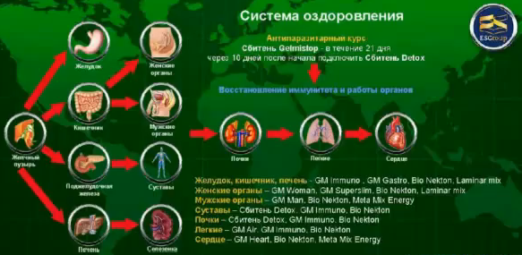 схема заболеваний органов