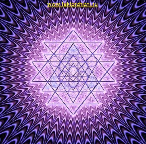 интернет-магазин-Фактор-Жизни