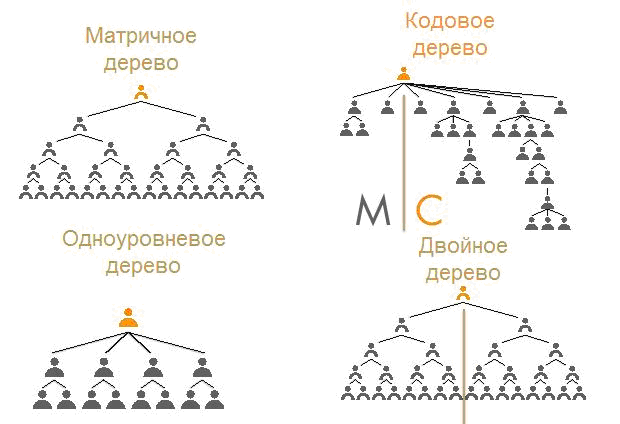 маркетинг LPGN