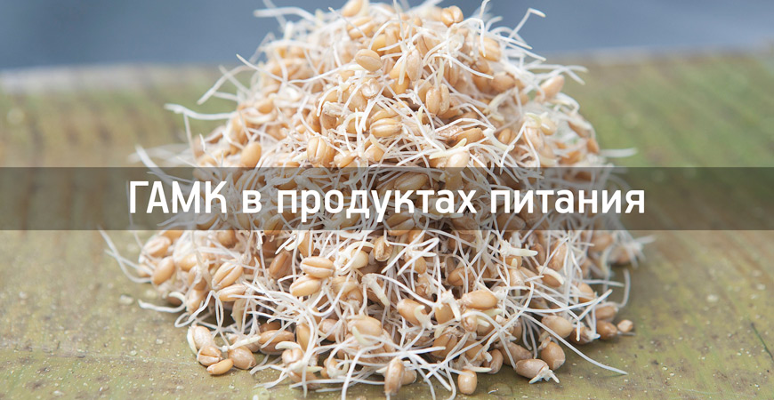 пищевые-источники-GABA