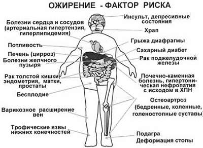 как избавиться от лишнего веса, правильная диета