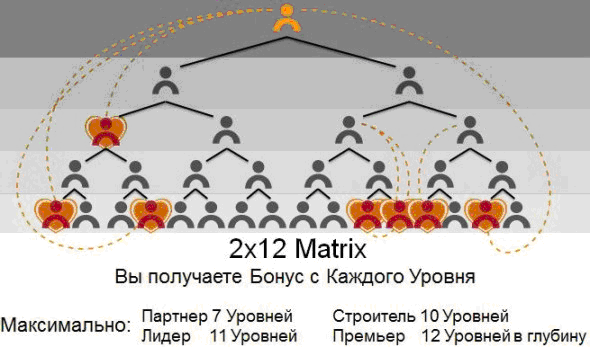 маркетинг LPGN