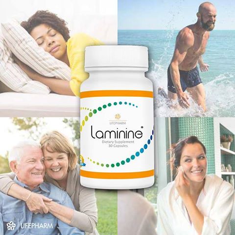 все о продукте Laminine (Ламинин)