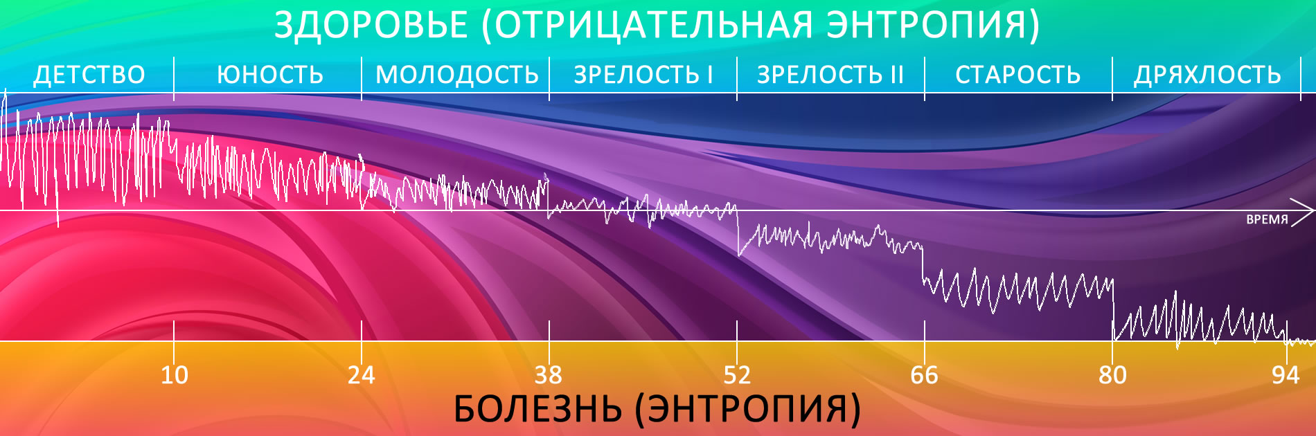 программа цветотерапии долголетие создает эффект омоложения 