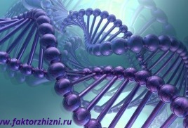 Краткий гайд по аминокислотам